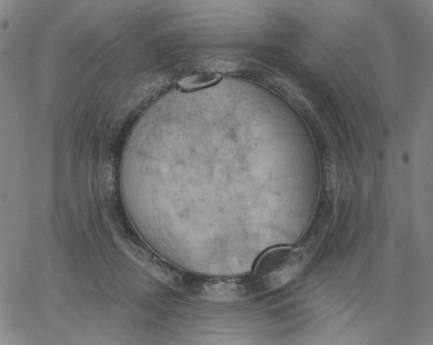 X0000067390362200604131937