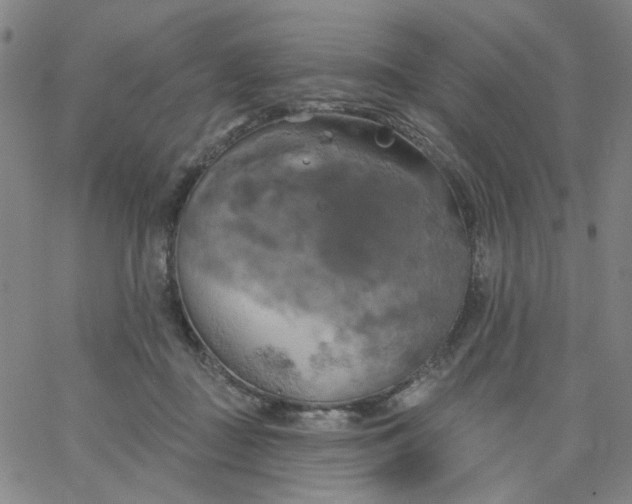 X0000067390363200604131937