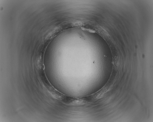 X0000067390364200604131937