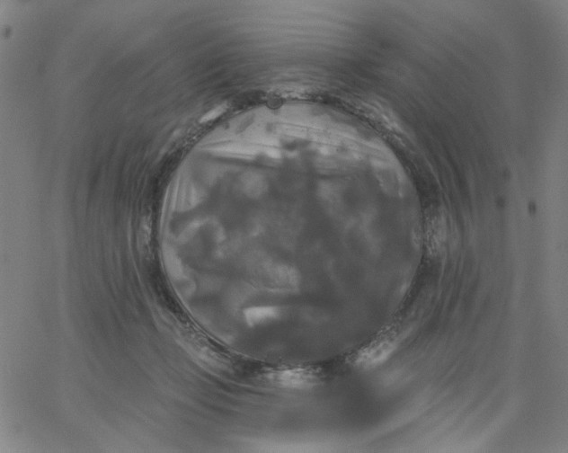 X0000067390365200604131937