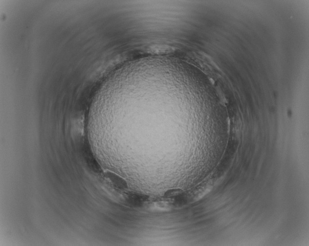 X0000067390368200604131937