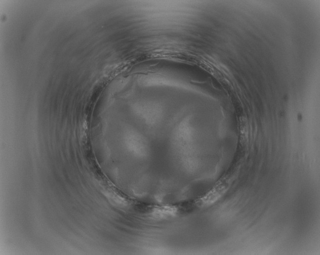 X0000067390369200604131937