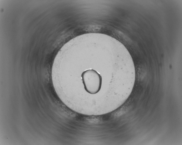 X0000067390370200604131937