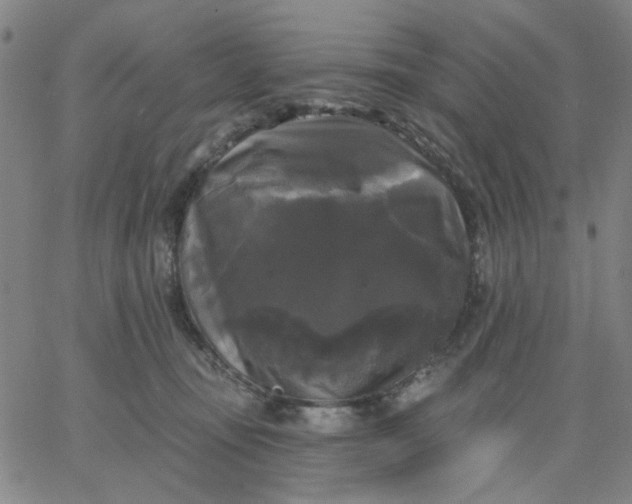 X0000067390371200604131937