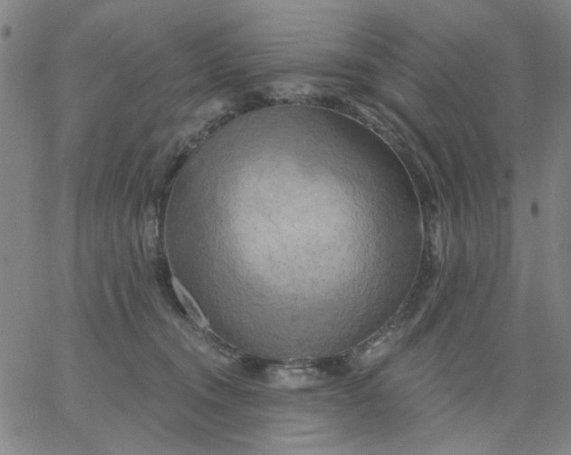 X0000067390372200604131938