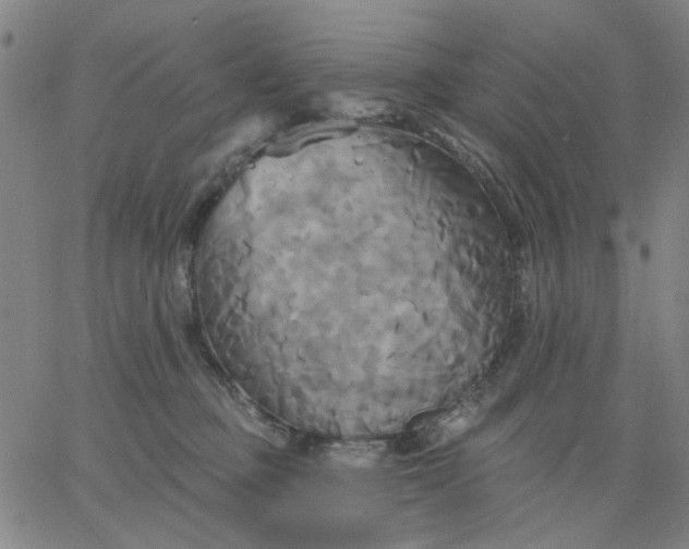 X0000067390373200604131938