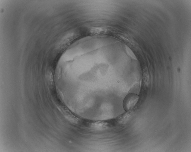 X0000067390375200604131938