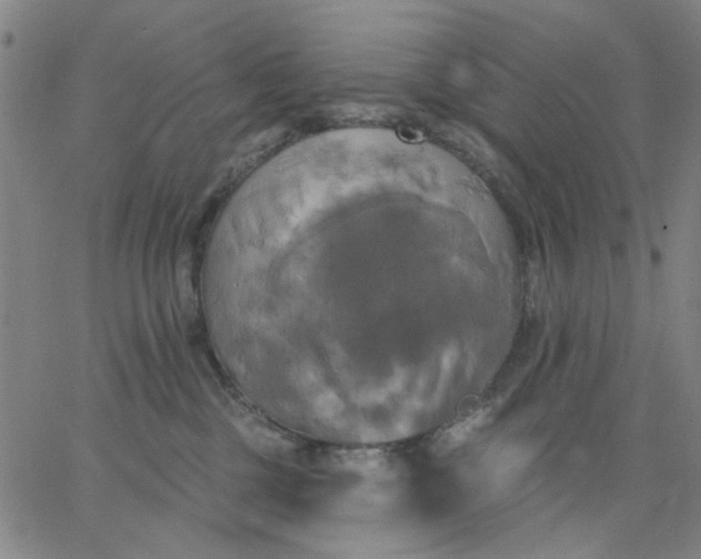 X0000067390377200604131938