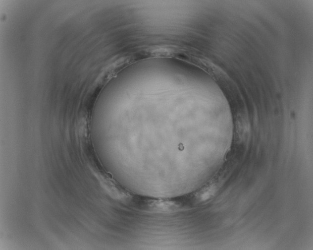 X0000067390379200604131938