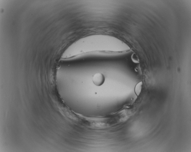 X0000067390380200604131938