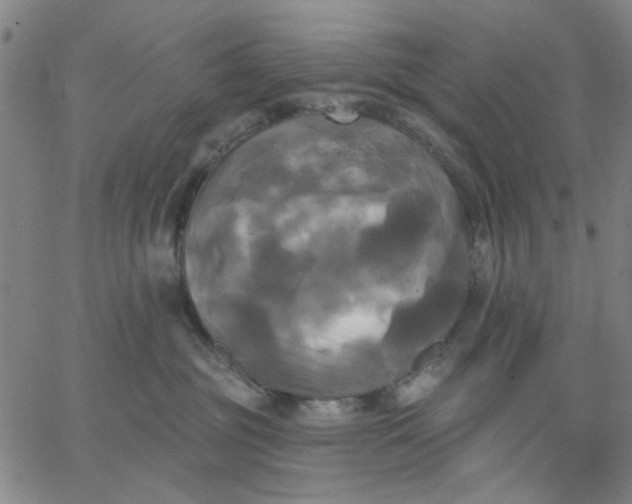 X0000067390381200604131938