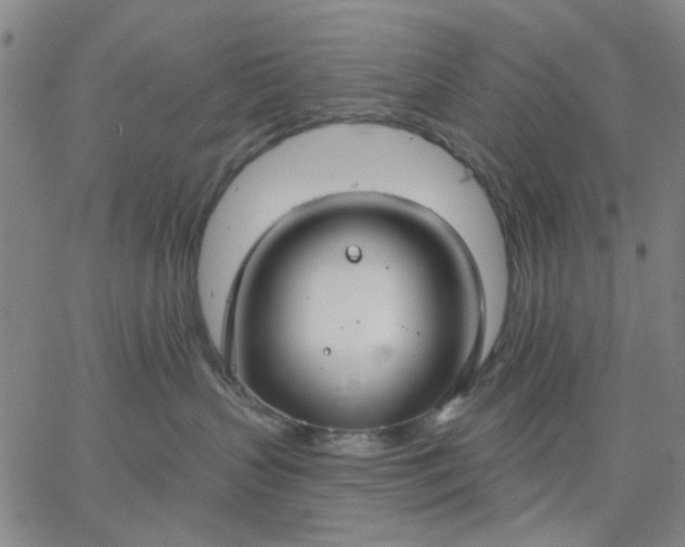 X0000067390383200604131938