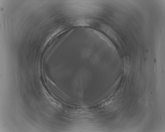 X0000067390386200604131937