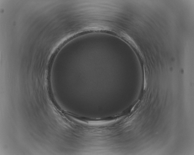 X0000067390387200604131937