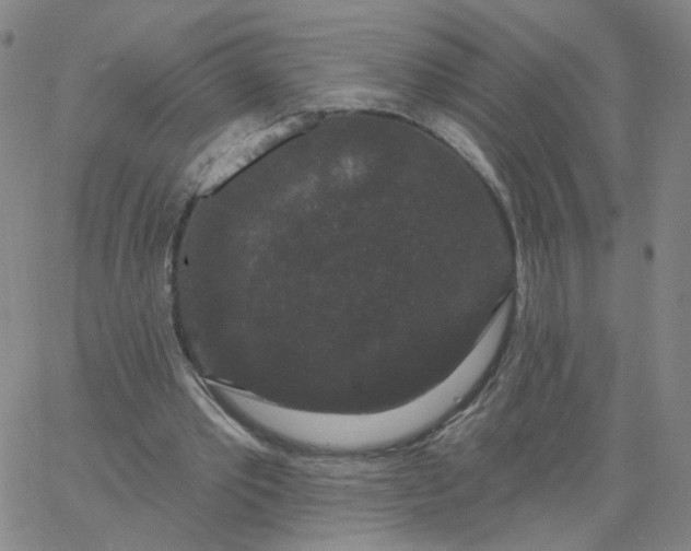 X0000067390389200604131937