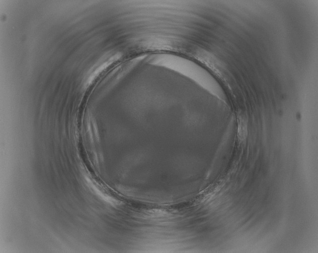 X0000067390390200604131937