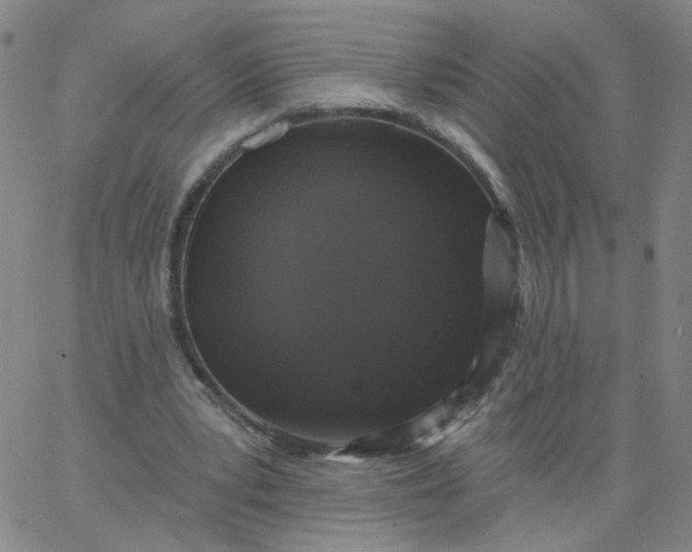 X0000067390391200604131937