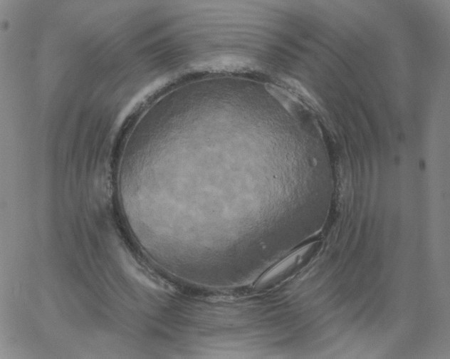 X0000067390392200604131937