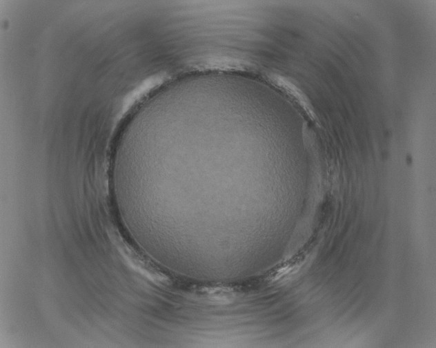 X0000067390395200604131937