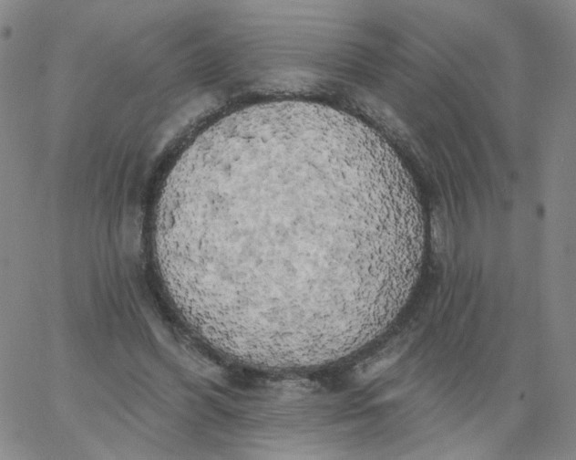 X0000067390396200604131937