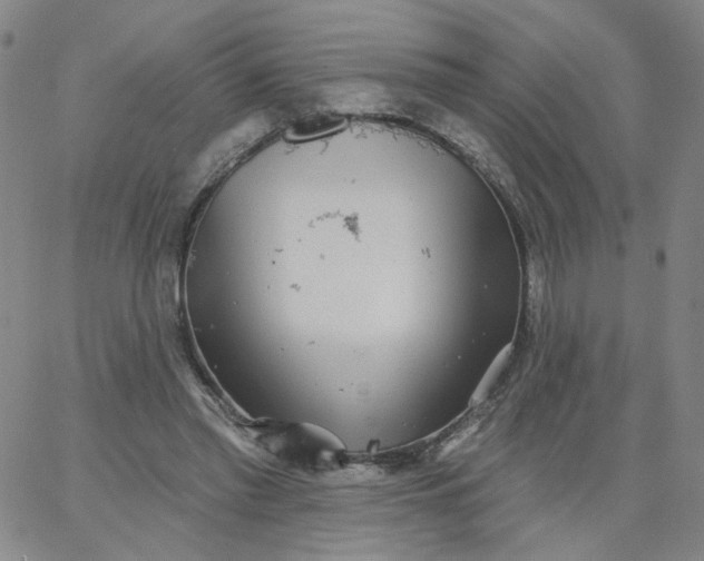 X0000067390397200604131937