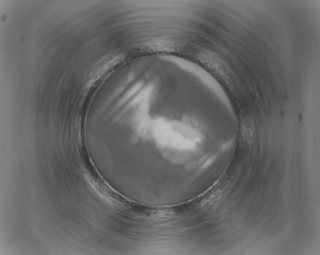 X0000067390398200604131937