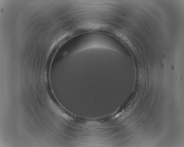 X0000067390399200604131937