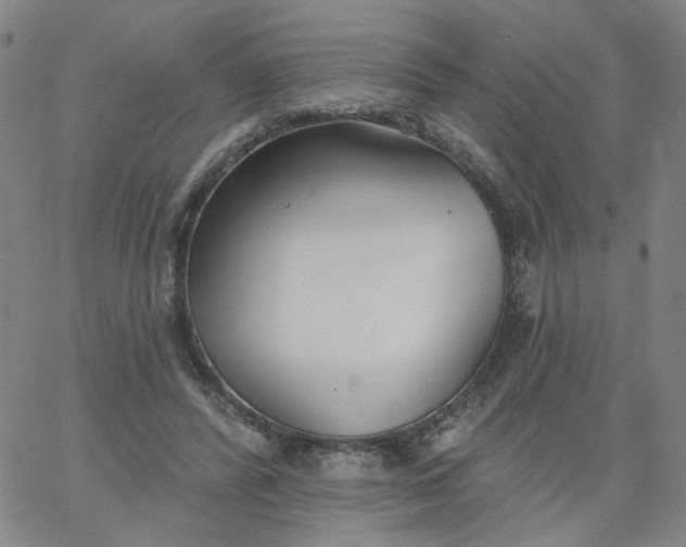 X0000067390400200604131937