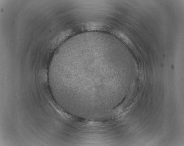 X0000067390401200604131937