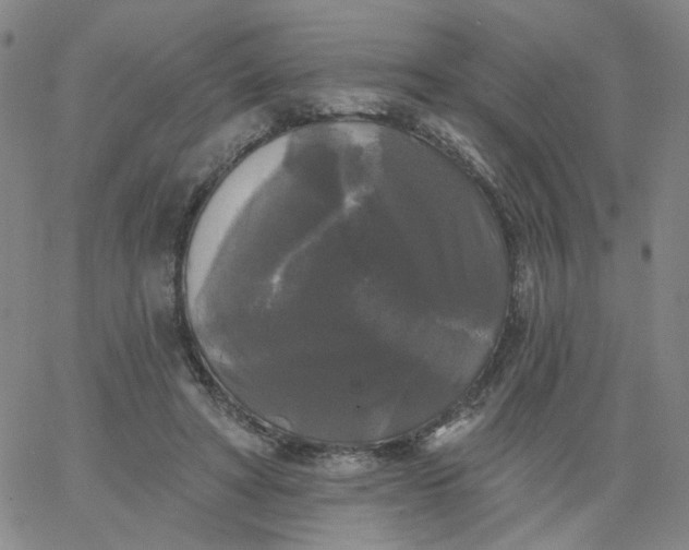 X0000067390402200604131937