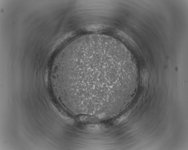 X0000067390404200604131937