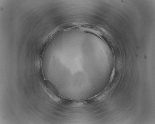 X0000067390405200604131937