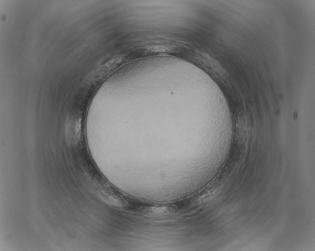 X0000067390406200604131937