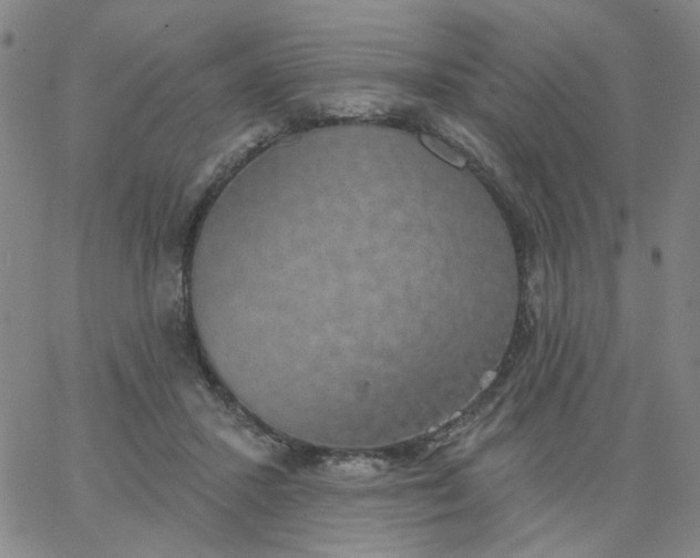 X0000067390407200604131937