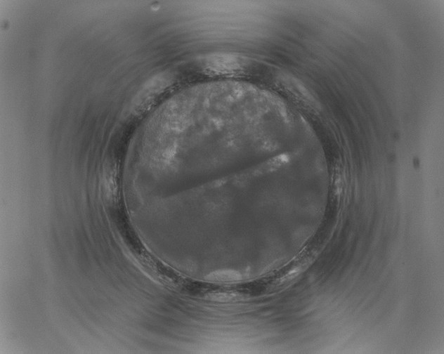 X0000067390408200604131937