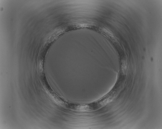 X0000067390410200604131937