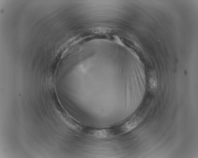 X0000067390411200604131936