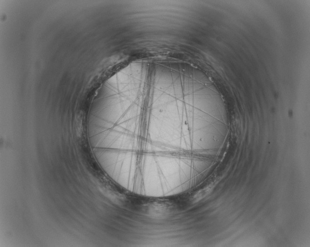 X0000067390412200604131936