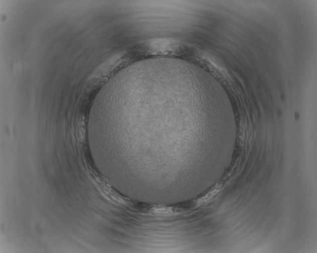 X0000067390413200604131936