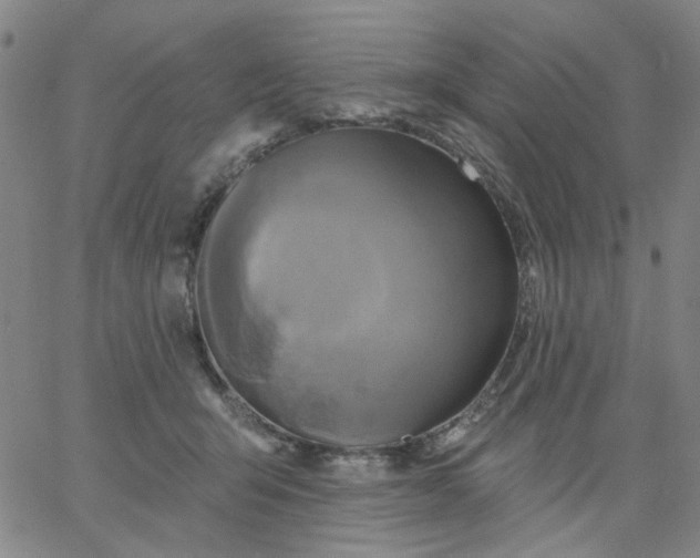 X0000067390415200604131936