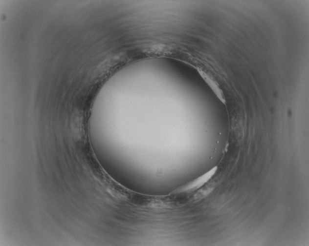 X0000067390416200604131936