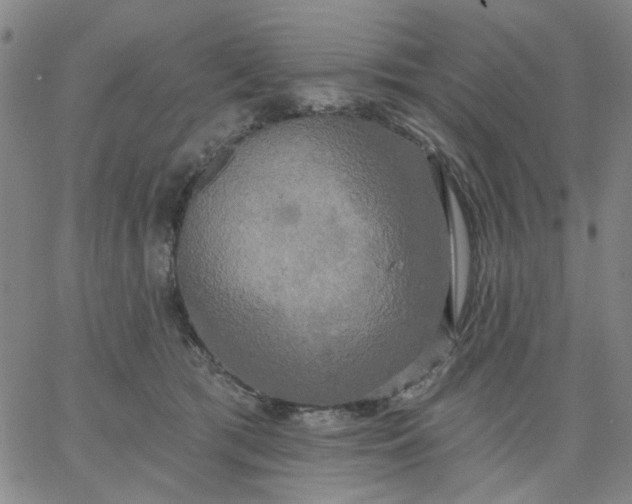 X0000067390417200604131936