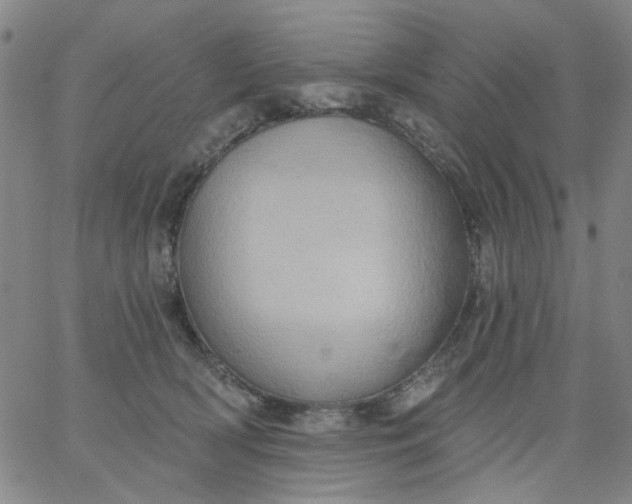 X0000067390418200604131936