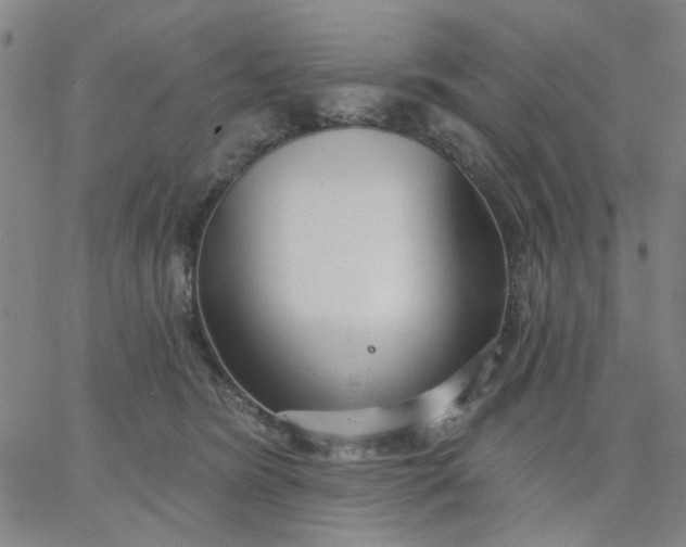 X0000067390420200604131936