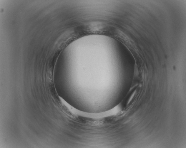 X0000067390421200604131936