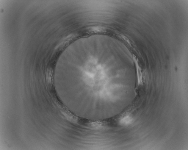 X0000067390423200604131936