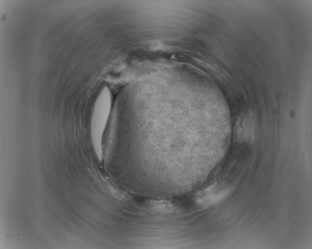 X0000067390424200604131936