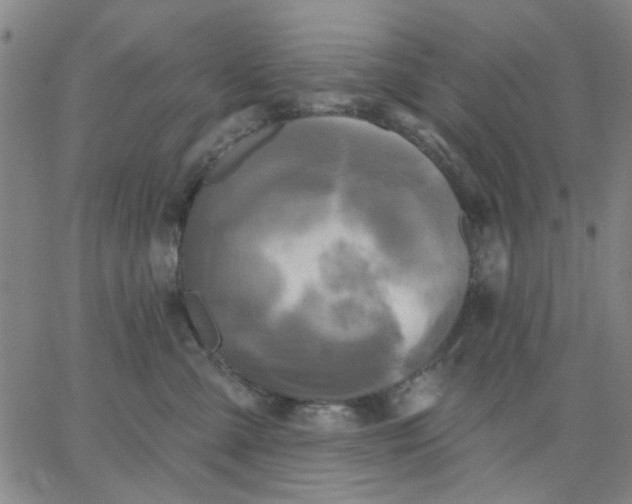 X0000067390427200604131936