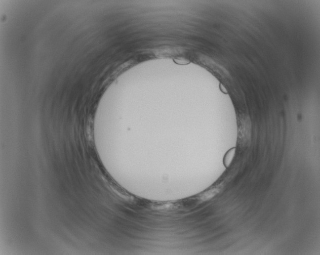 X0000067390430200604131936