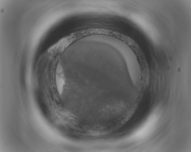 X0000067390431200604131936